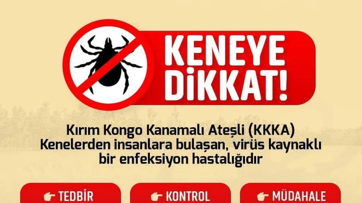Avanos Kaymakamlığı’ndan Kene Uyarısı: Erken Müdahale Hayat Kurtarıyor