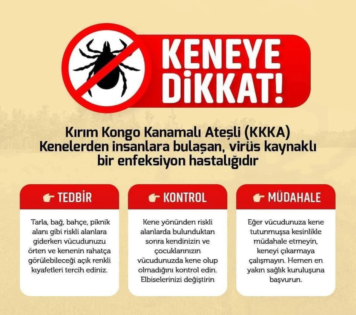Keneye Karşı Uyarı: KKKA Tehlikesine Dikkat!
