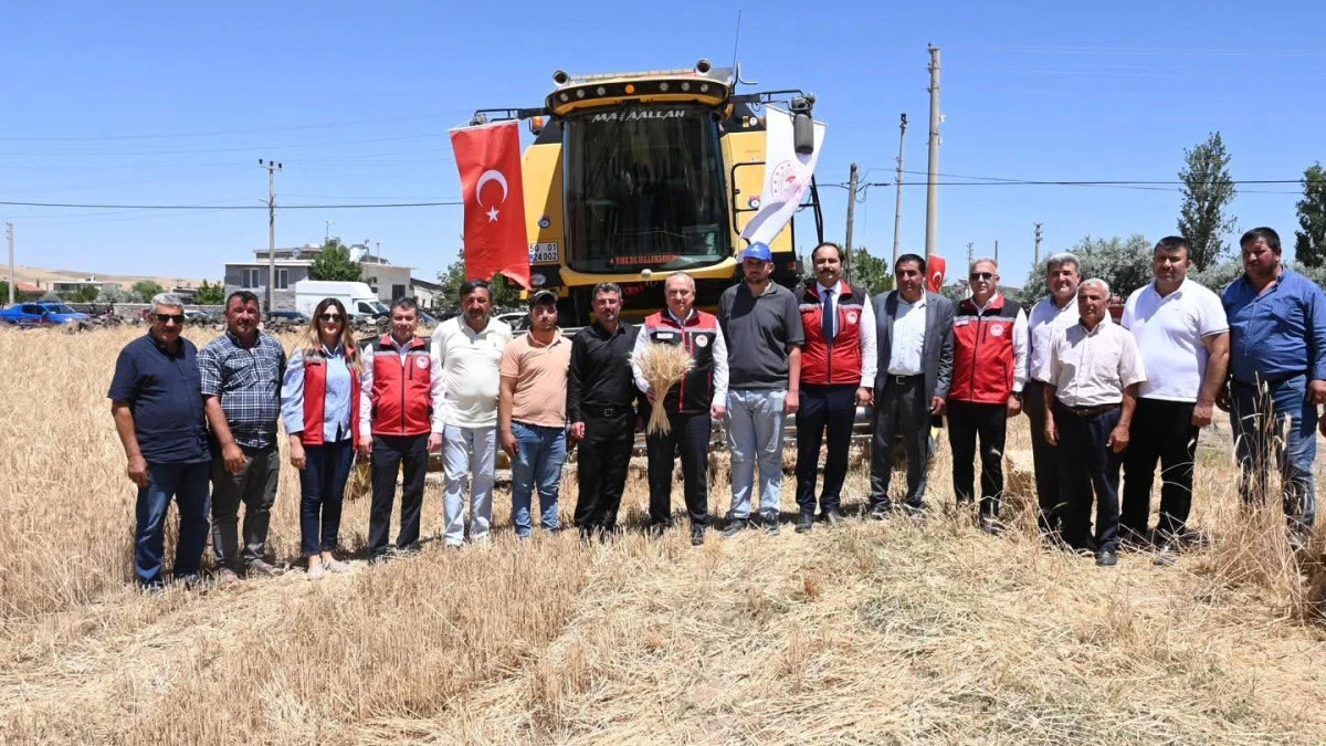 Nevşehir'de Buğday Hasadı Başladı: Vali Fidan Çiftçilerle Sahada