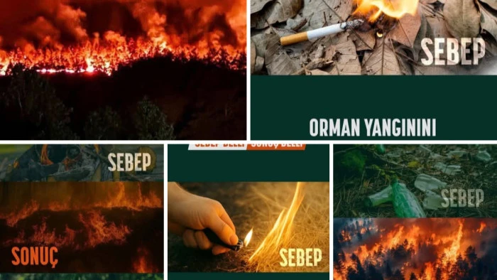 Orman Yangınları Can Yakıyor, Geleceğimiz Tehlikede